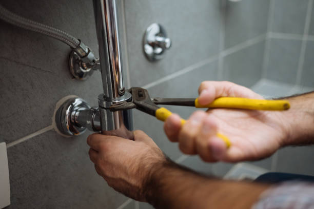 Best Toilet Repair Services  in Allen Park, MI
