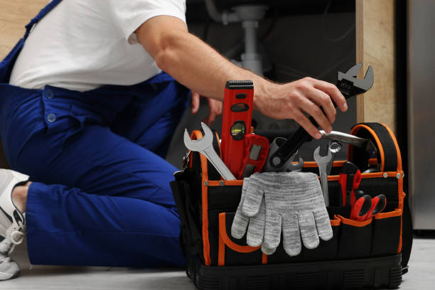 Best Commercial Plumbing Services  in Allen Park, MI