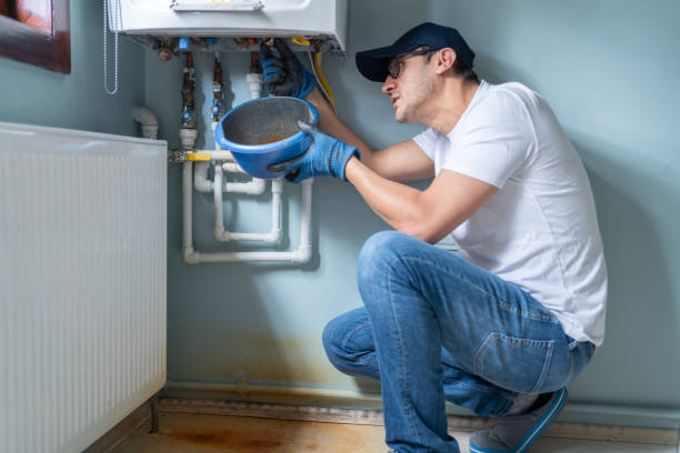 Best Residential Plumbing Services  in Allen Park, MI